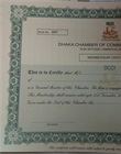 DCCI Membership Certificate