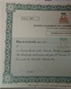 01 - DCCI Membership Certificate